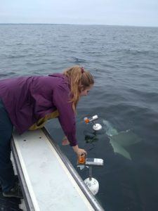 ESS student doing research on the water