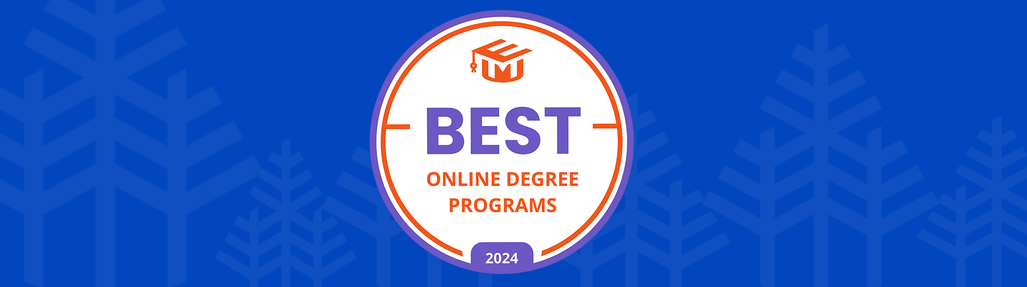 MHA and MSN programs earn honors for online health programs