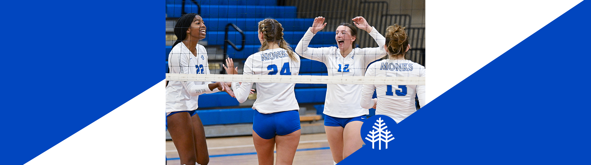 Volleyball banner