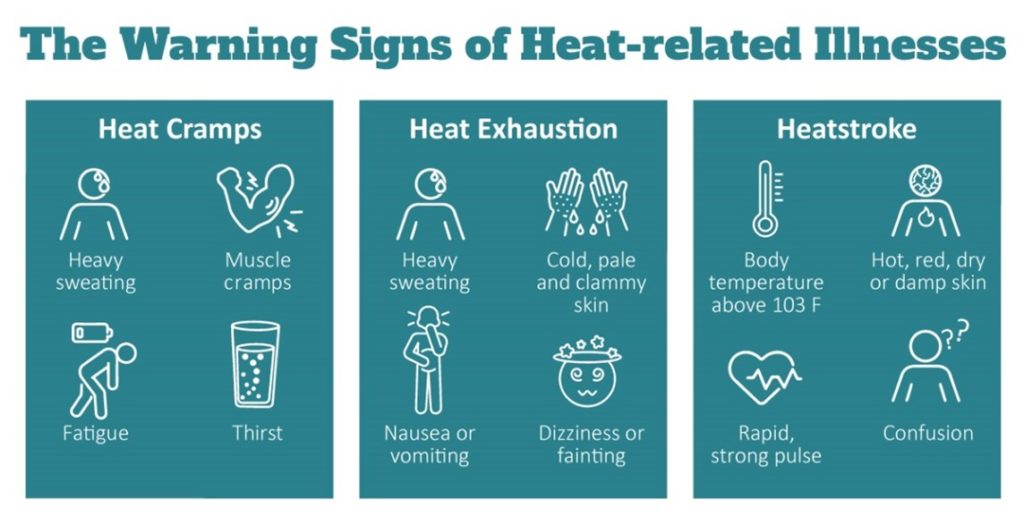 Warning signs of heat-related illnesses graphic