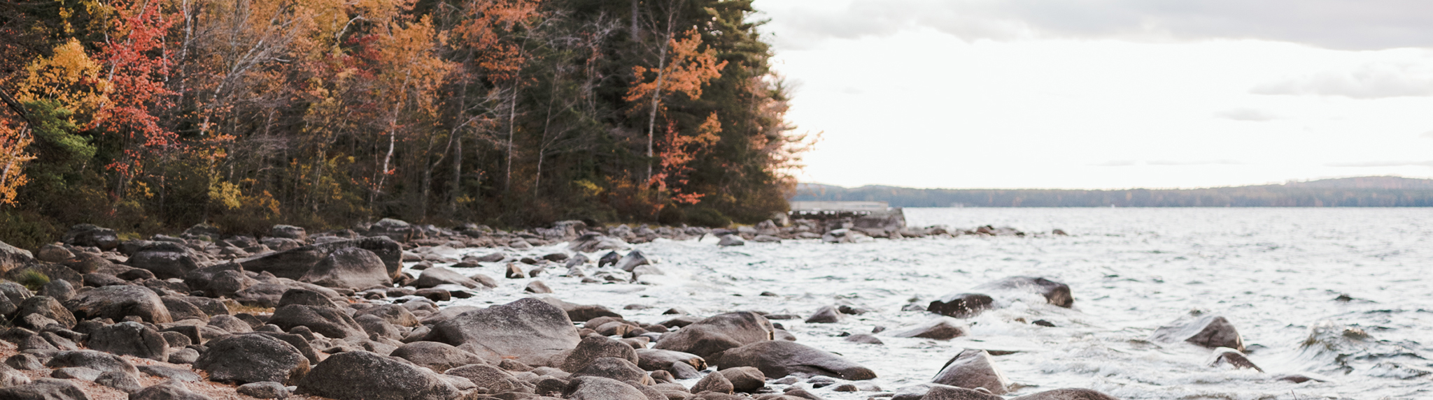 fall foliage at the lake