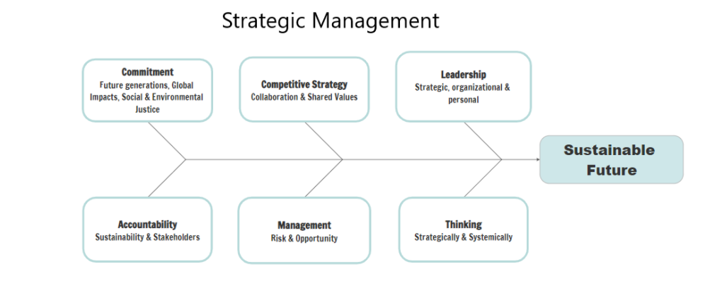 Strategic Management class