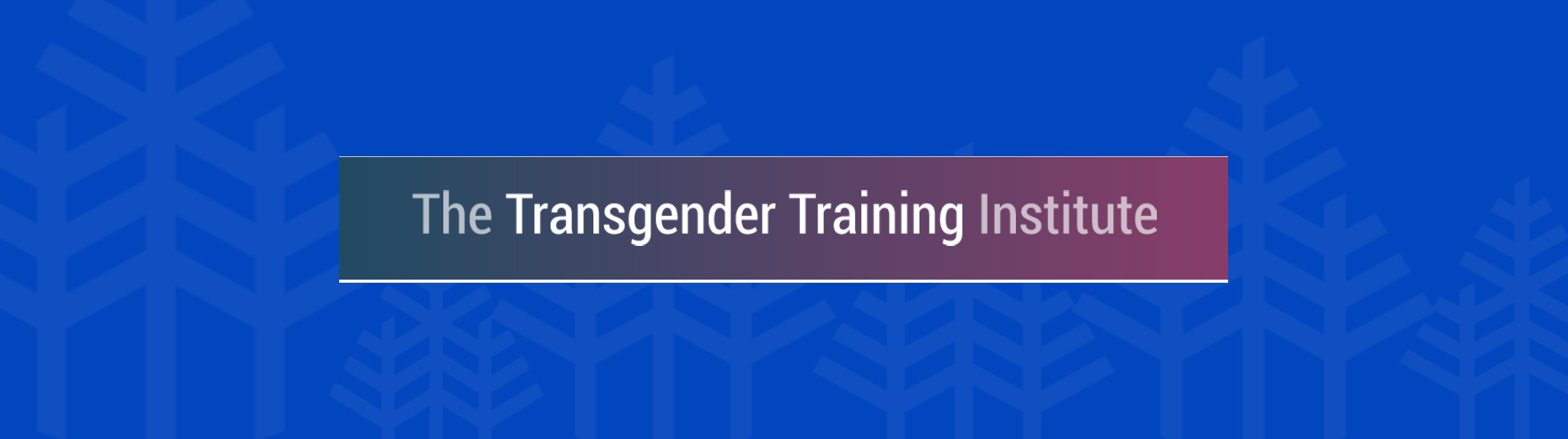 Transgender Training Institute