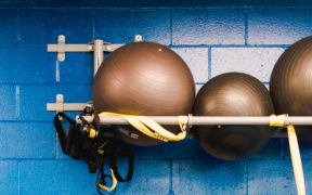 Wellness banner-stability balls