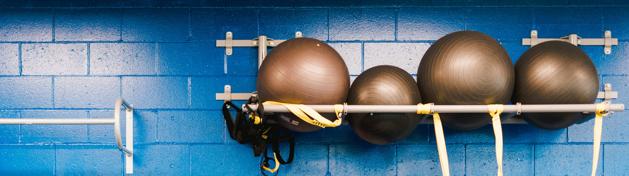 Wellness banner-stability balls