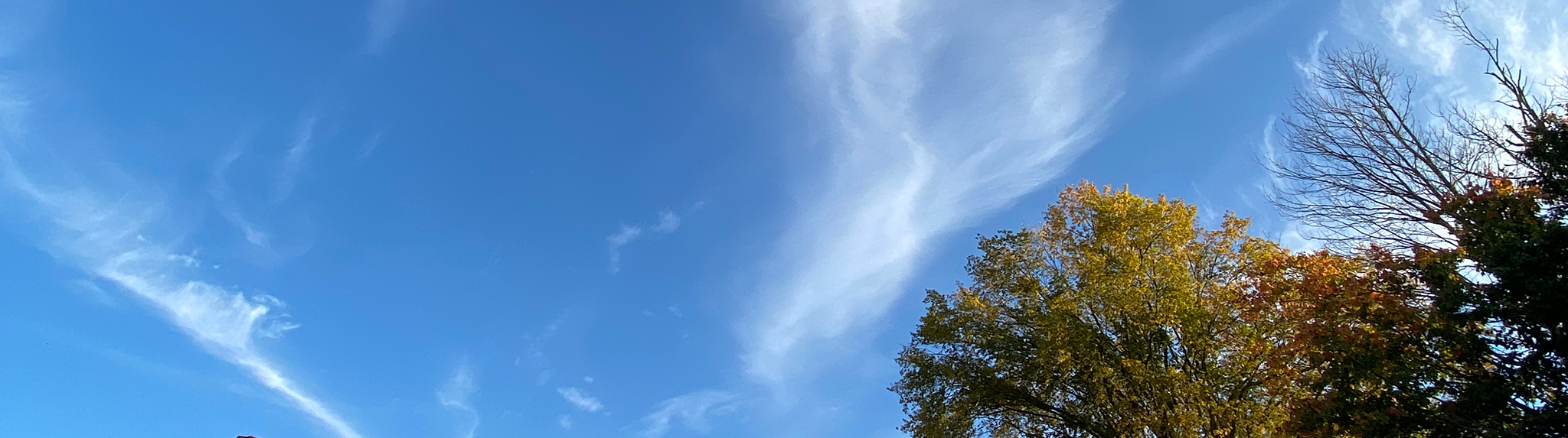 whispy clouds on campus